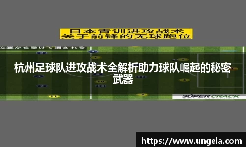 3377体育