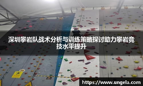 3377体育官网