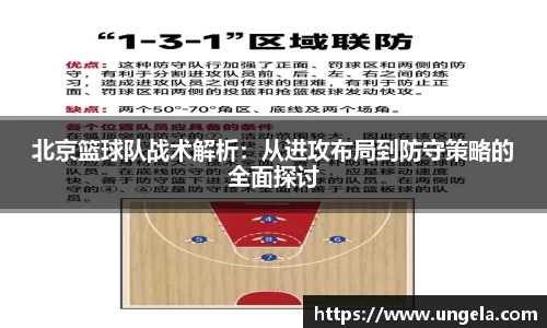 3377体育官网