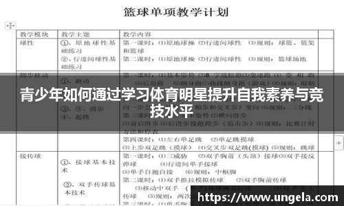 3377体育官网