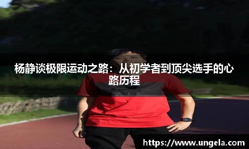 3377体育
