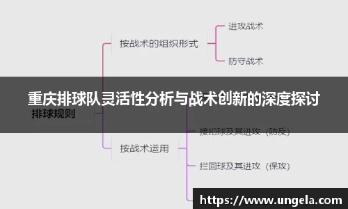 3377体育首页