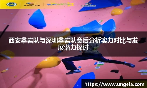 3377体育