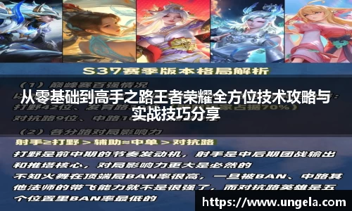 3377体育