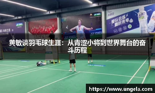 3377体育