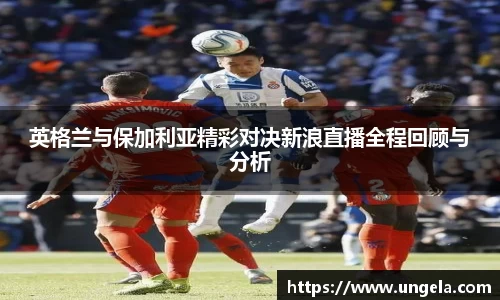 3377体育官网