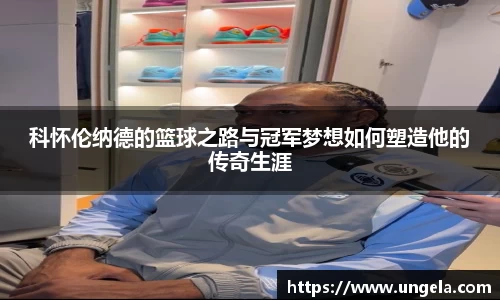 3377体育APP