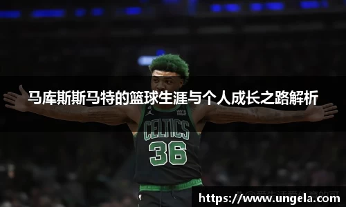 3377体育官网