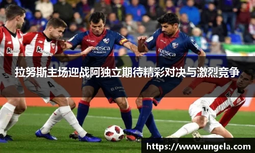 3377体育官网