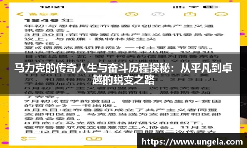 3377体育官网