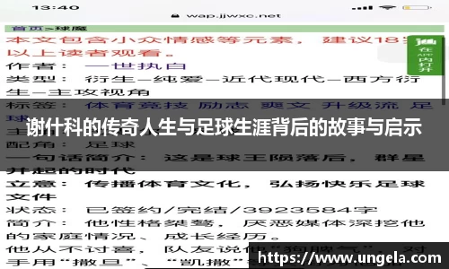 3377体育