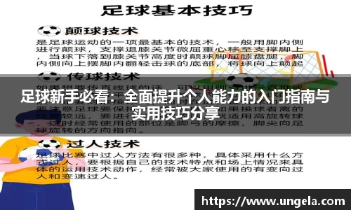 3377体育APP