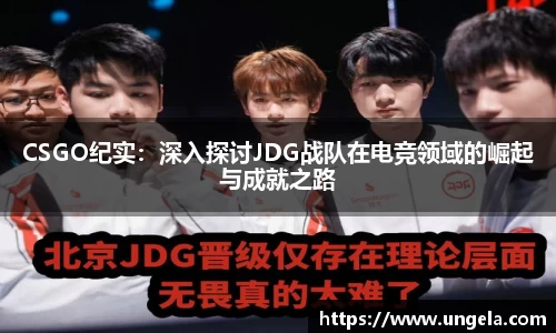 3377体育官网