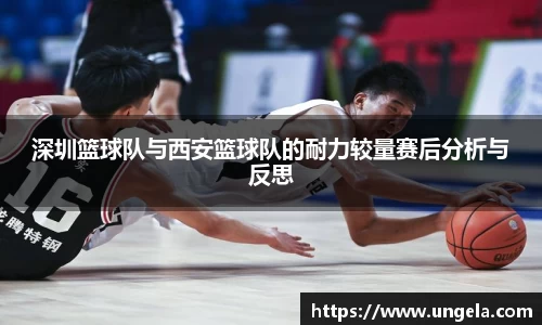 3377体育官网