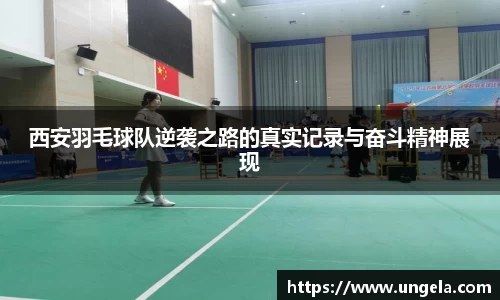 3377体育官网