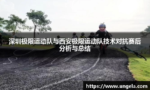 3377体育