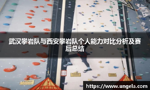 3377体育