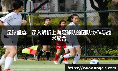 3377体育官网