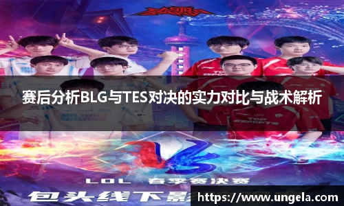 3377体育APP