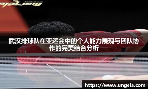 3377体育APP